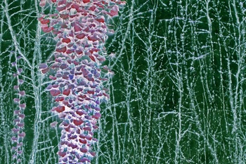 N 089A